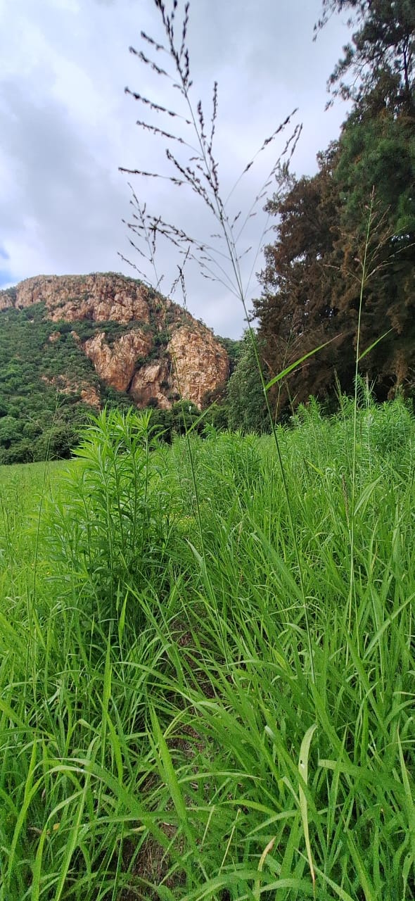 3 Bedroom Property for Sale in Rustenburg Rural North West